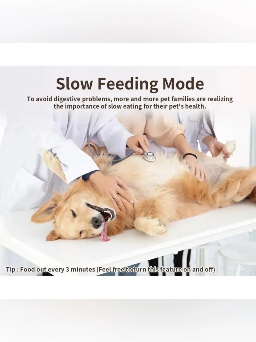 Papifeed Smart Automatic Pet Feeder APP Control Stainless Steel Bowl